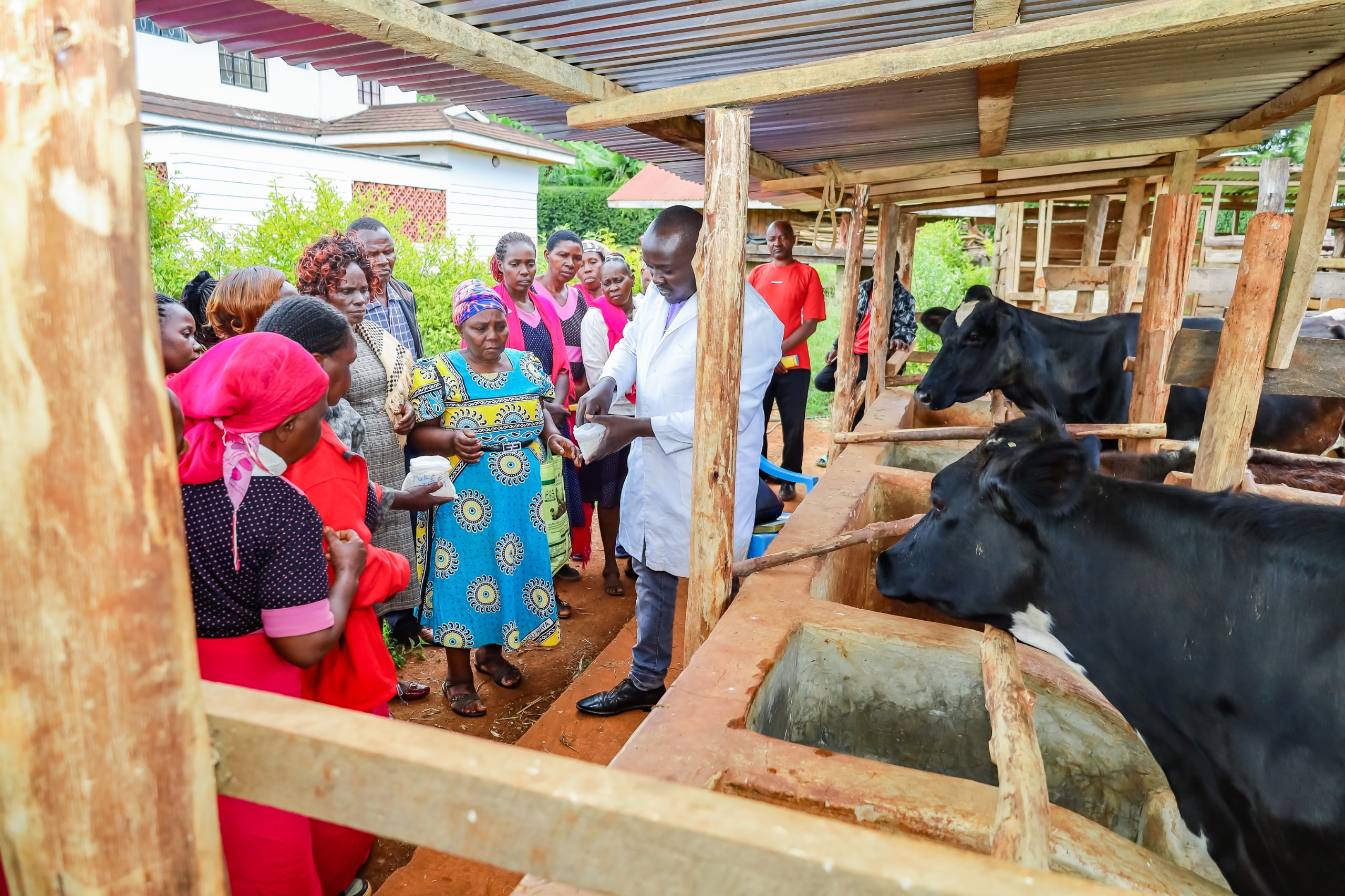 Kirinyaga County intensifies trainings and extension services to increase production and income for farmers