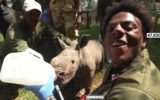 IShowSpeed charged Ksh1.3M to adopt and name a Rhino “Rhinaldo” in Kenya