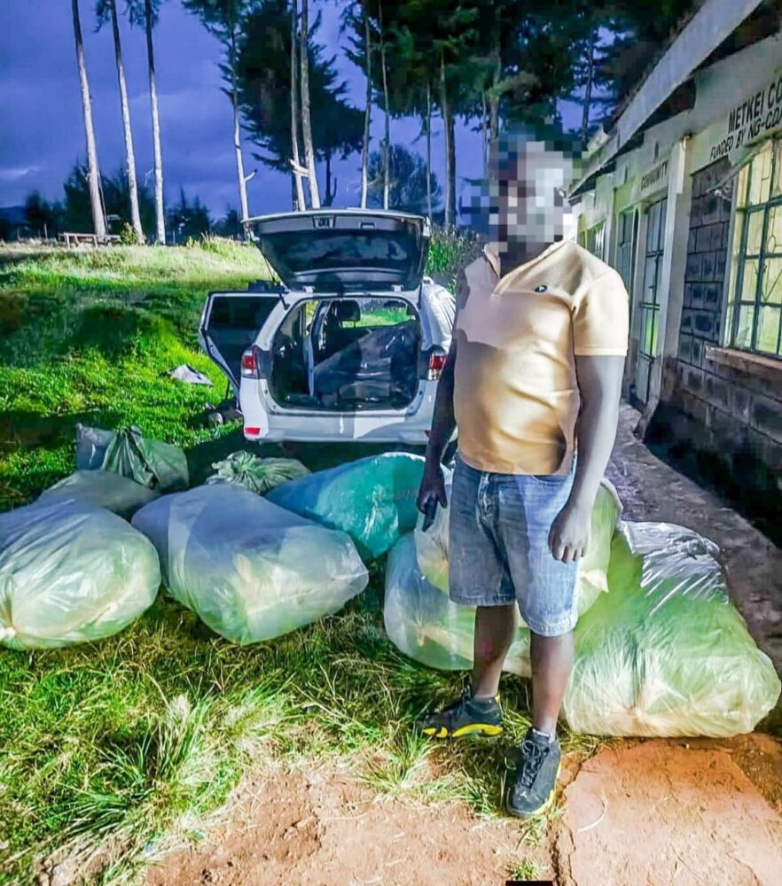 Man arrested with KSh13M bhang released on KSh10M bail
