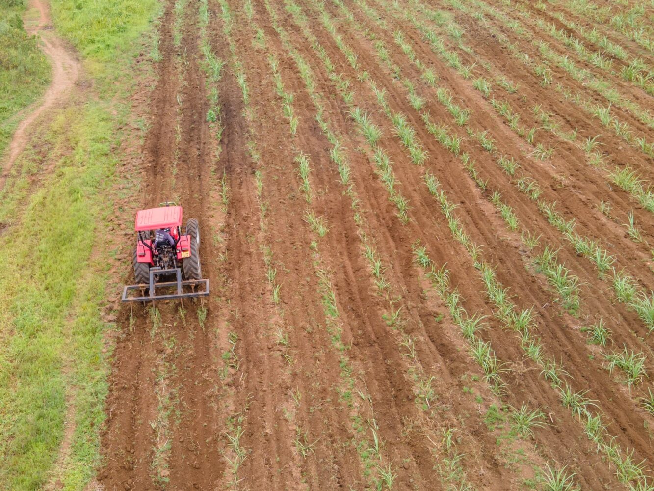 Why Kenya’s sugar industry took a step back to move forward