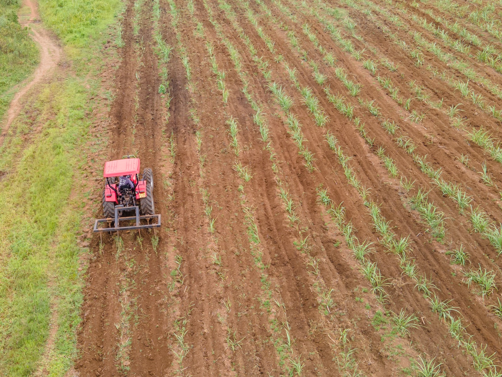 Why Kenya’s sugar industry took a step back to move forward