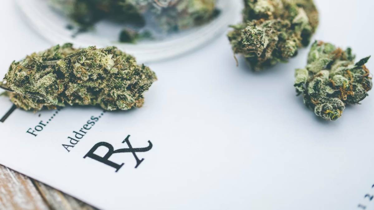 Should medical marijuana be less stringently regulated? A drug policy expert explains…