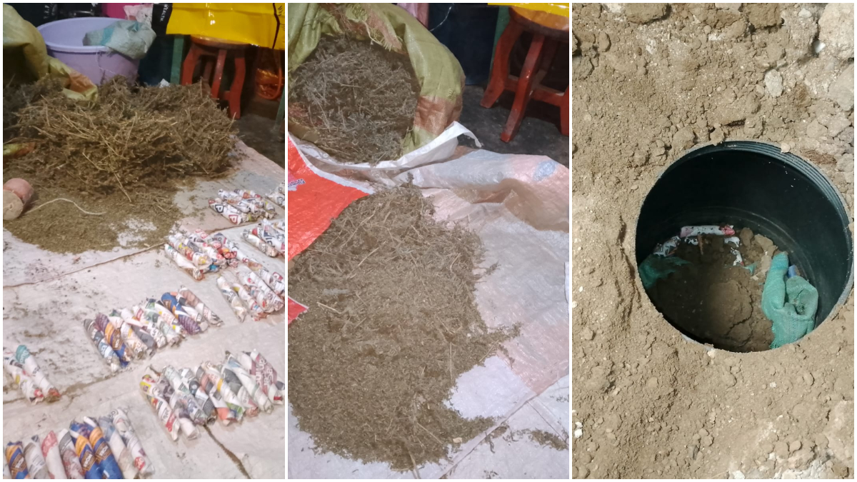 Njoro’s most notorious bhang trafficker arrested in night NACADA raid; bhang found hidden in underground bunkers