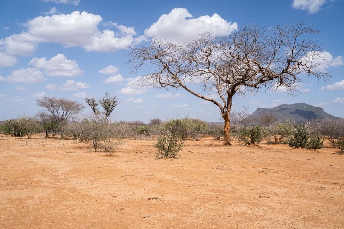 Kenyans face hunger and higher food costs amid persistent drought