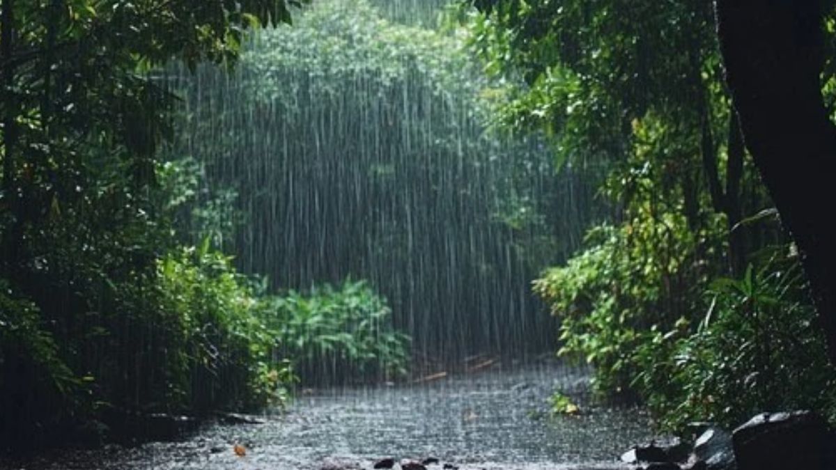 Farmers urged to prepare for planting season as rains begin across Kenya