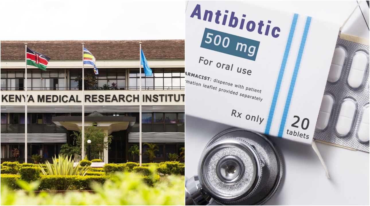 KEMRI reveals widespread misuse of antibiotics among Kenyans, reports 37,000 deaths from antimicrobial resistance