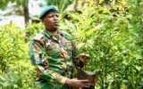 Kenya scales up seedling production as Kinale Nursery targets 8 million output