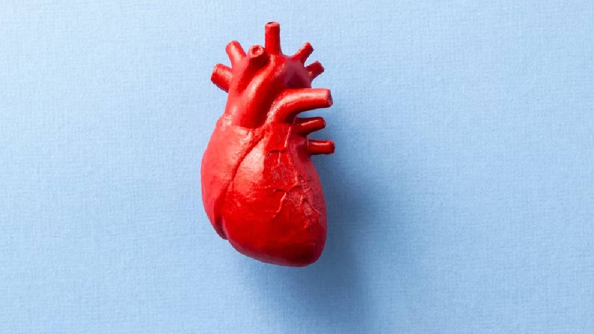 Magnetic fluid injected into the heart could stop strokes before they start