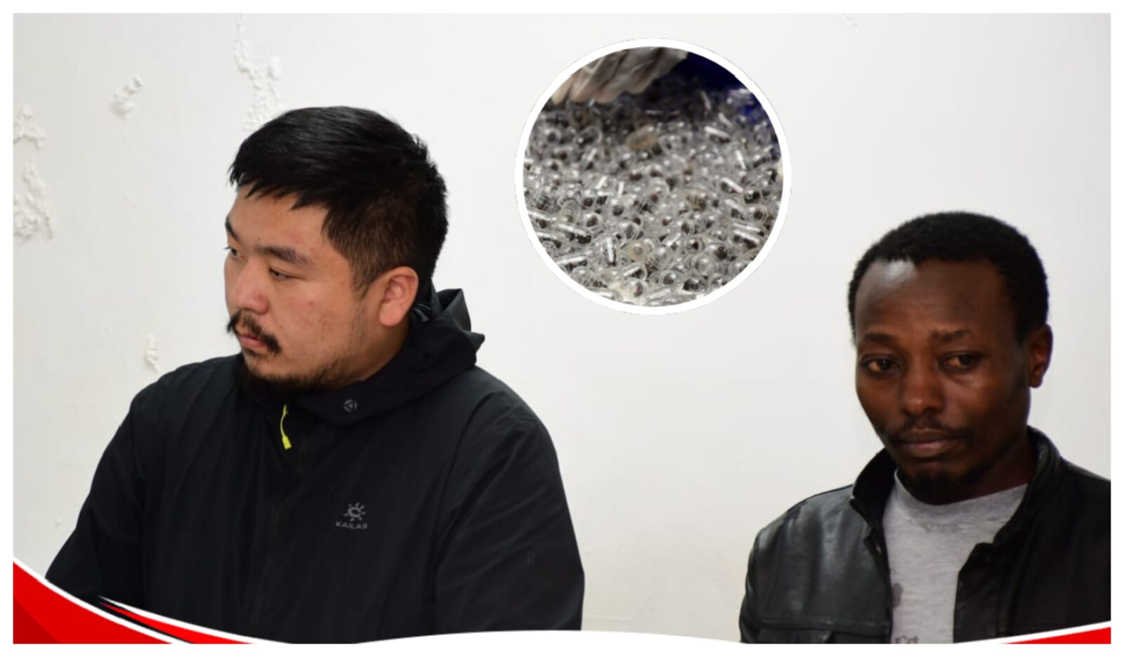 ODPP charges Chinese national and Kenyan for trafficking thousands of live ants