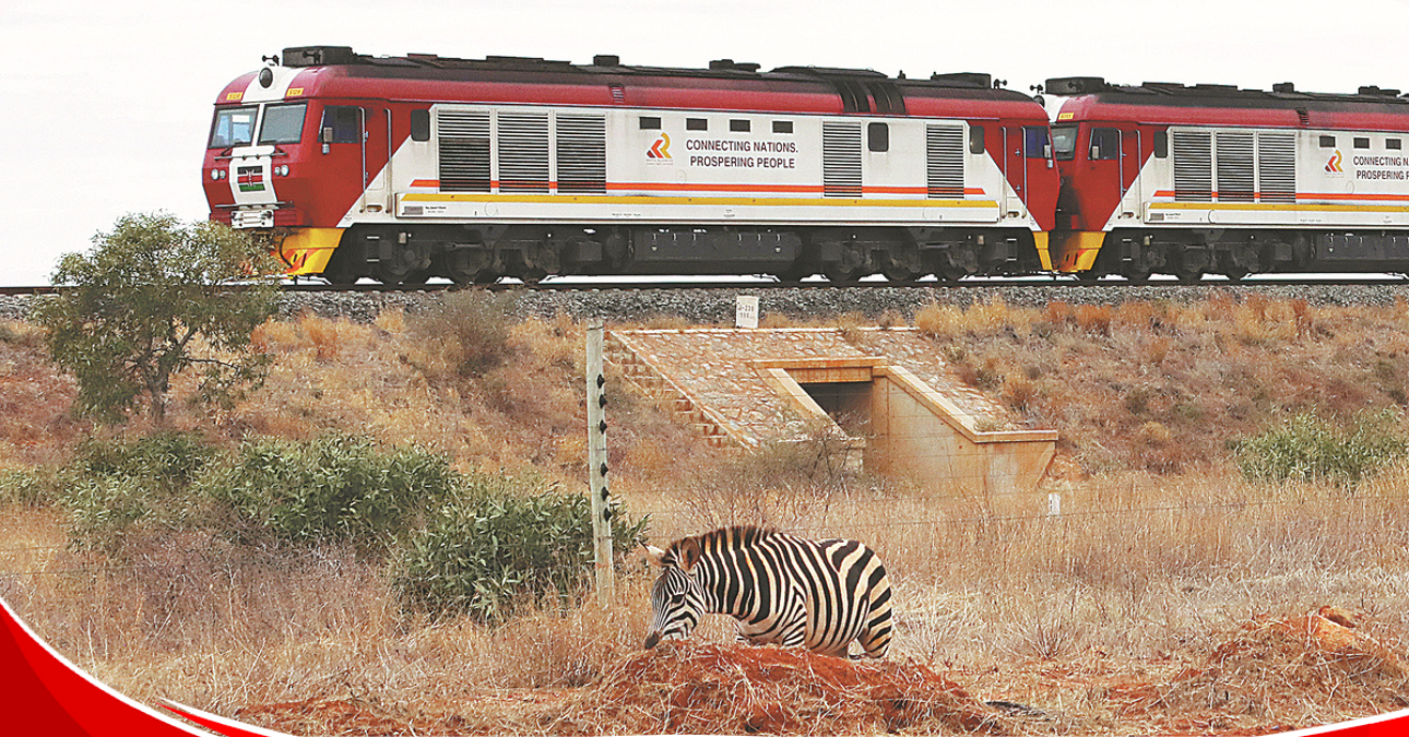 How SGR is turning the Nairobi–Mombasa trip into a tourist experience, boosting business in the Tsavo corridor
