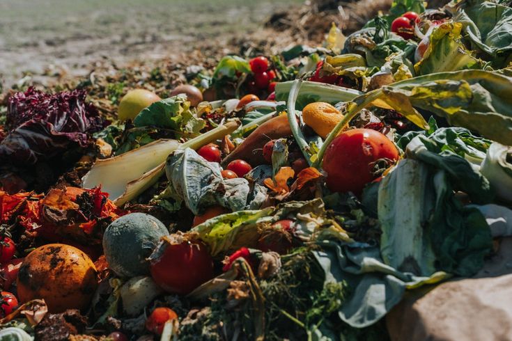Food loss and waste: why it matters to you!