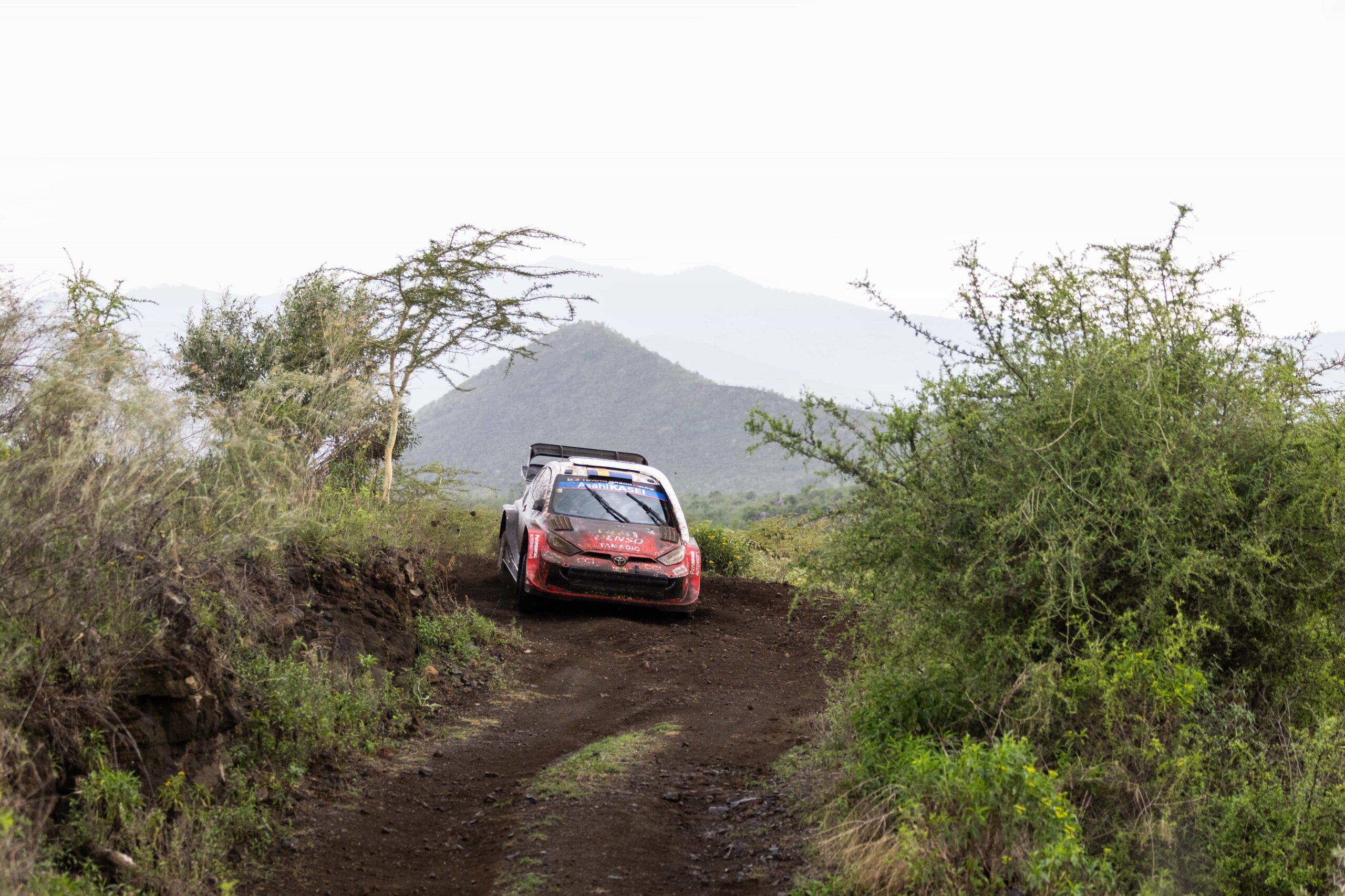 Pajari shines as Solberg holds Safari Rally lead after Friday stages