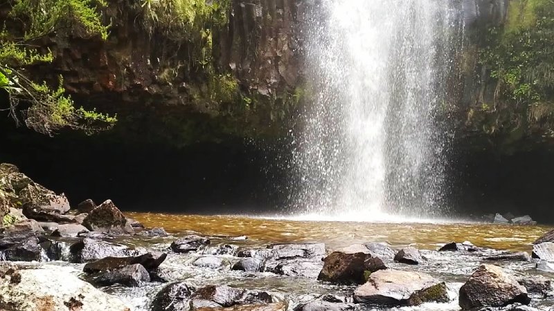 Search underway for Moi University student who drowned in Kesses River