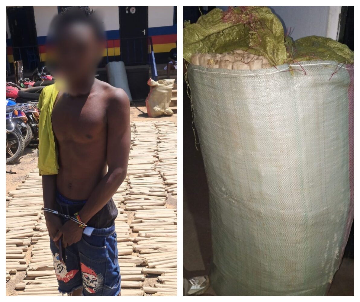 Police step up anti-narcotics operations in Kwale County