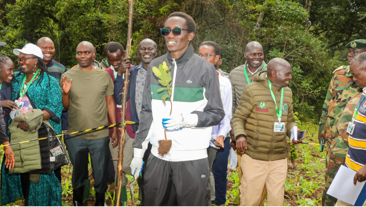 Elgeyo-Marakwet youth eyes Guinness World Record with 24,000 trees in 24 hours challenge