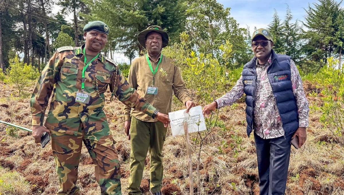 Forestry PS hails record 23,000-tree milestone, urges more action on forest restoration