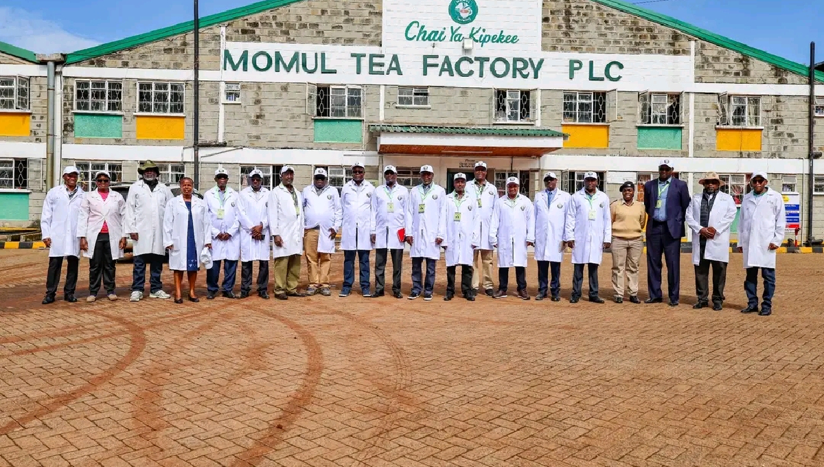 Kenya pumps KSh3.5 billion into tea sector reforms ahead of International Tea Day
