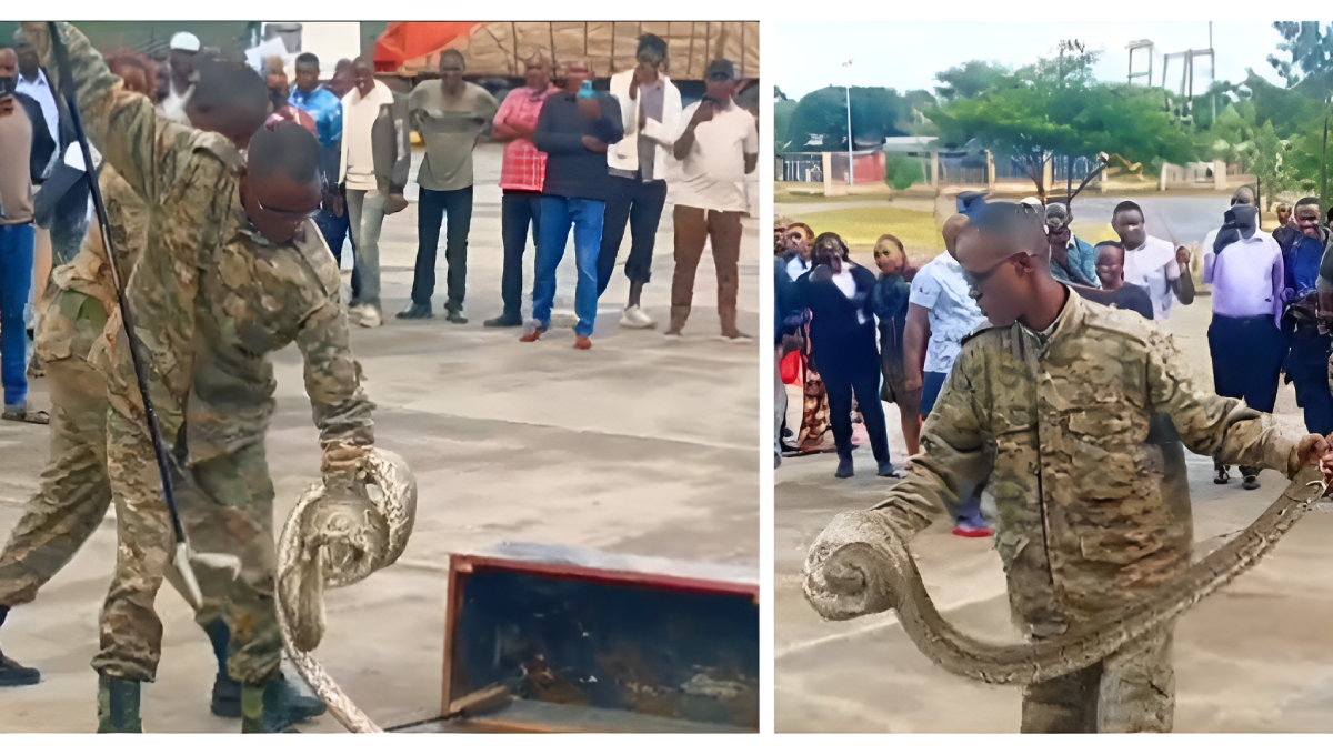 Live snake seized at Namanga border as police arrest bus crew in Kajiado crackdown