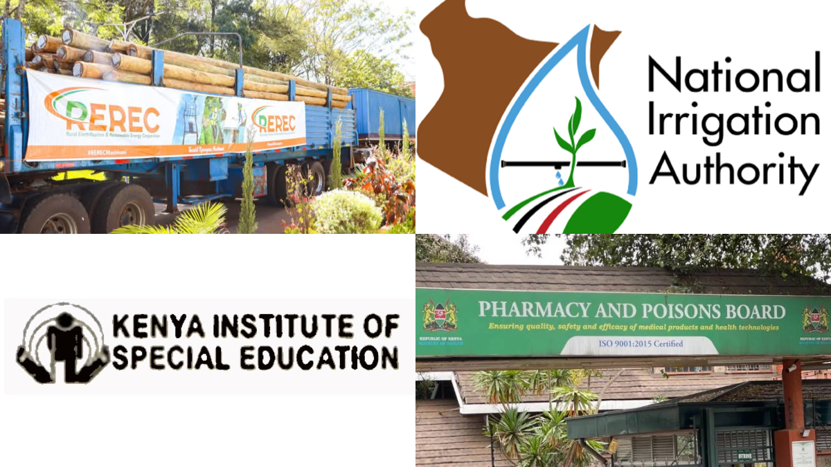 REREC leads as Kenya’s State corporations and regulators are assessed by strategic national impact