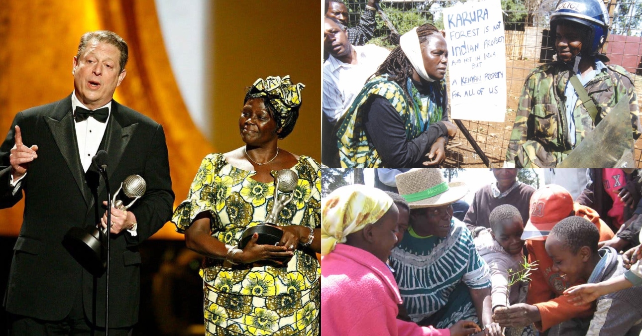 Upholding Wangari Maathai’s legacy in forest conservation