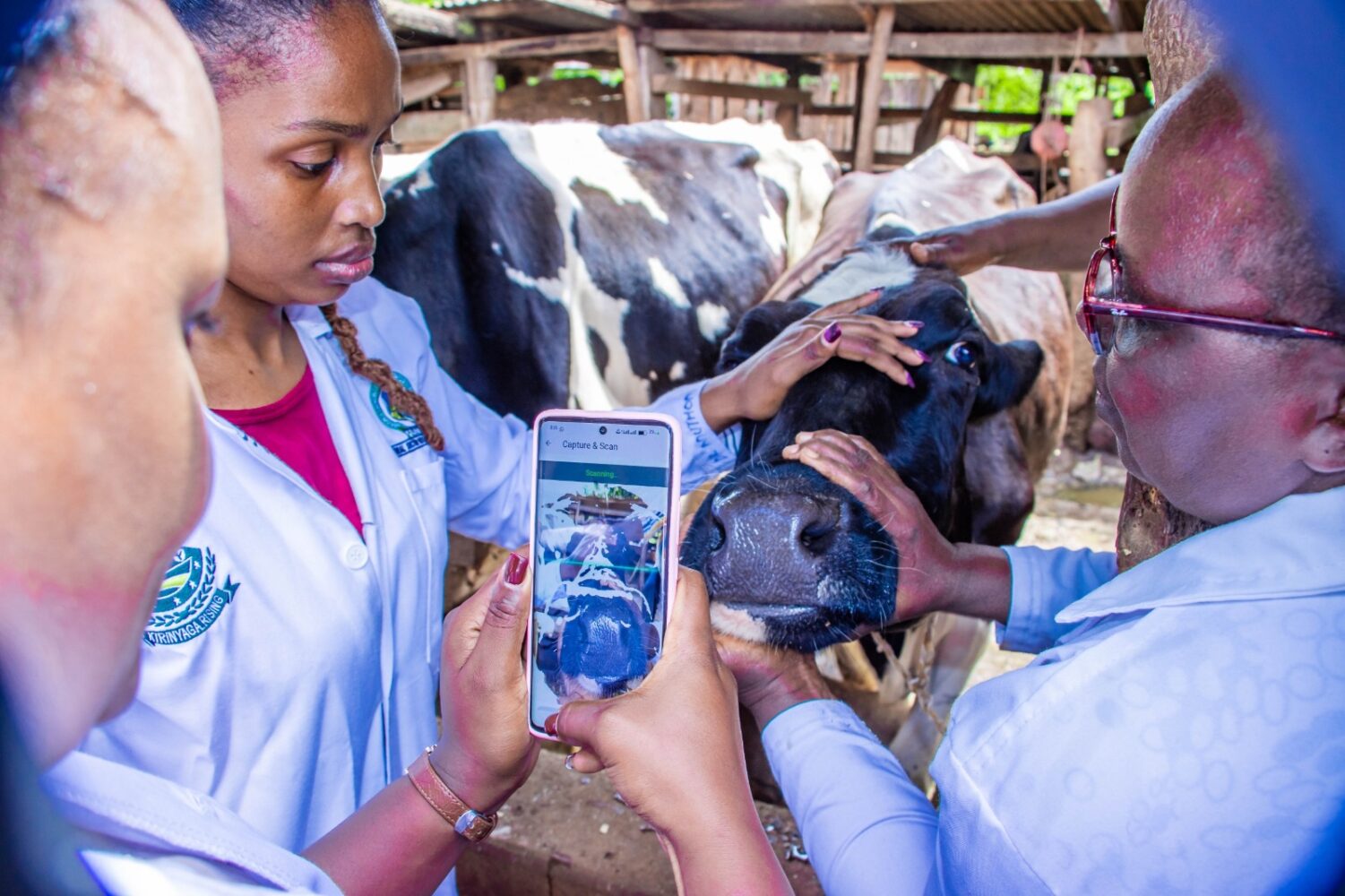 Waiguru rolls out livestock digital registration alongside vaccination drive targeting 80,000 cattle