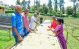 Kirinyaga coffee payout hits historic KSh7.4 billion as Waiguru pledges more support for farmers