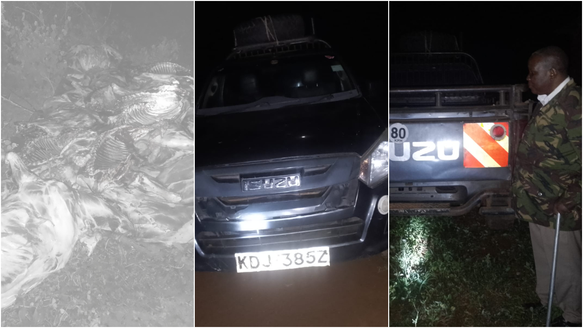 Over 20 donkeys found slaughtered as police uncover illegal operation in Makindu