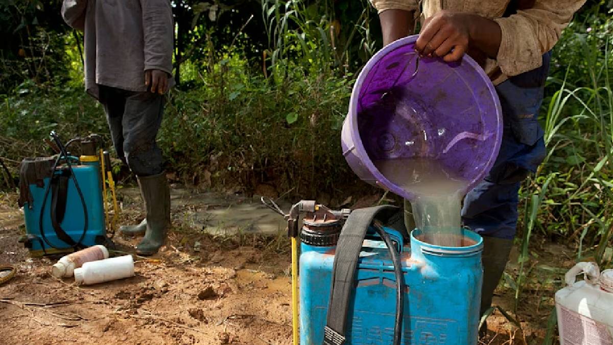 Dangerous pesticide use: What must be done to protect the health of Kenyans