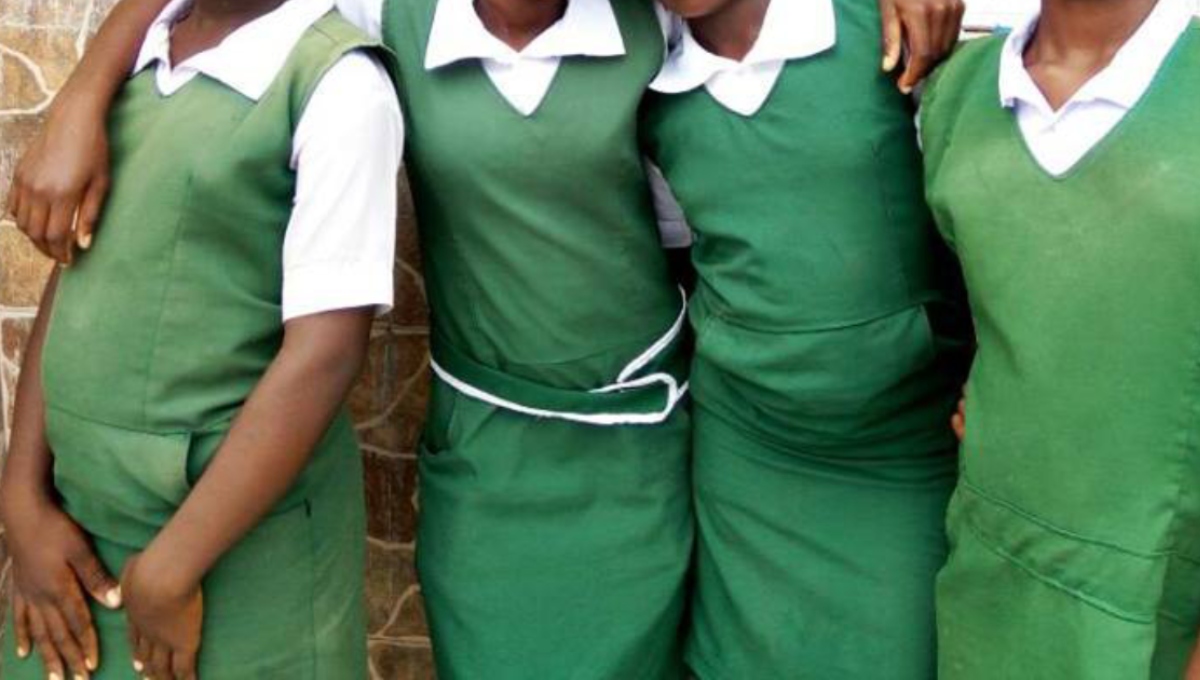 Alarm as report shows majority of pregnant learners in junior school