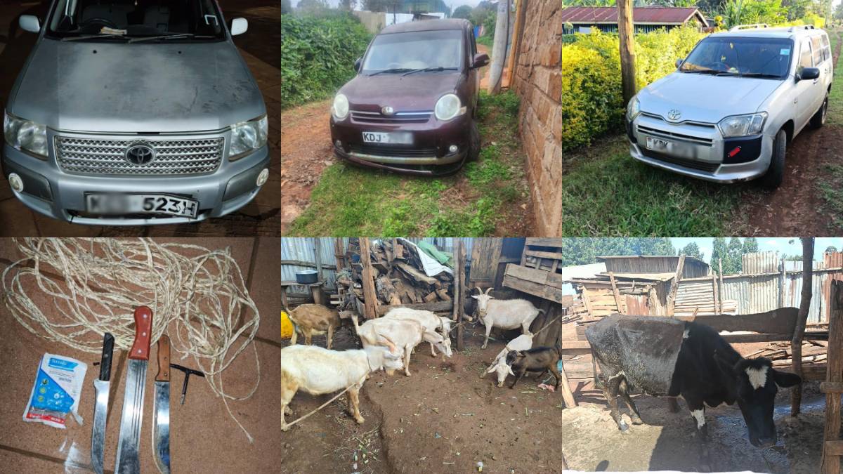 Six arrested, three ‘stolen’ vehicles and several livestock recovered as detectives unearth Kirinyaga gang