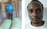 23-year-old among those arrested in possession of 250kg of bhang in Mombasa