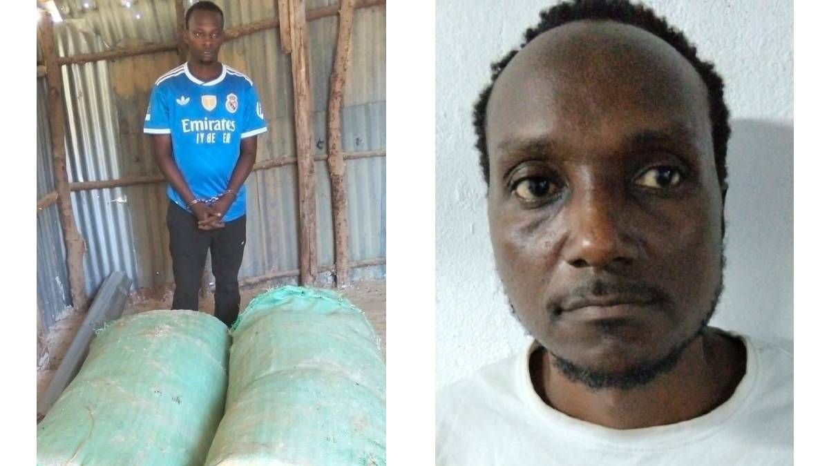 23-year-old among those arrested in possession of 250kg of bhang in Mombasa