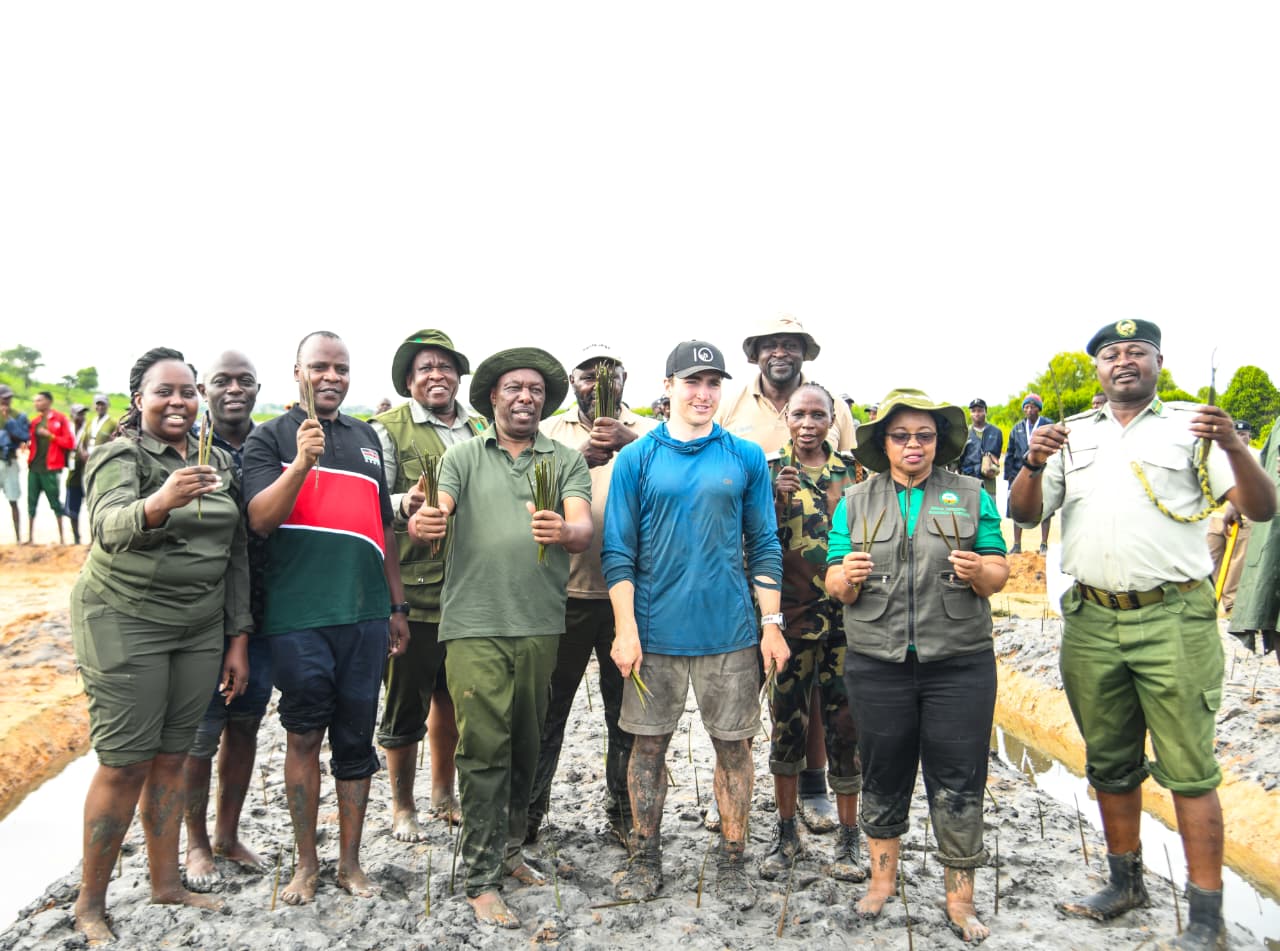 Historic mangrove planting marathon ends in 47,460 – Propagule world record