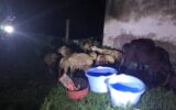 Fear grips Kisumu after brutal funeral attack leaves four injured
