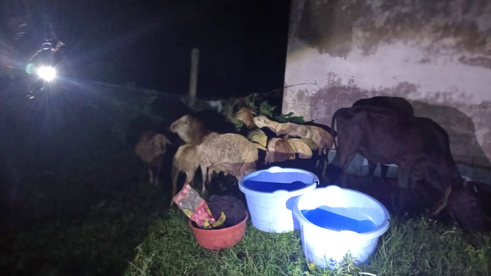 Fear grips Kisumu after brutal funeral attack leaves four injured