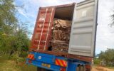 Driver ferrying donkey hides worth KSh 21 million fined KSh 20,000