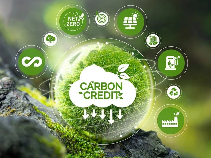Passive Increase in Carbon Absorption or Removal is not Creditable: Principle of Additionality