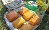 Five nabbed in major narcotics crackdown in Kilifi and Nyeri