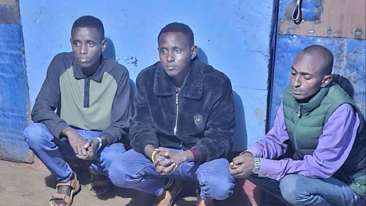 Three arrested in Marsabit as police recover 13 elephant tusks