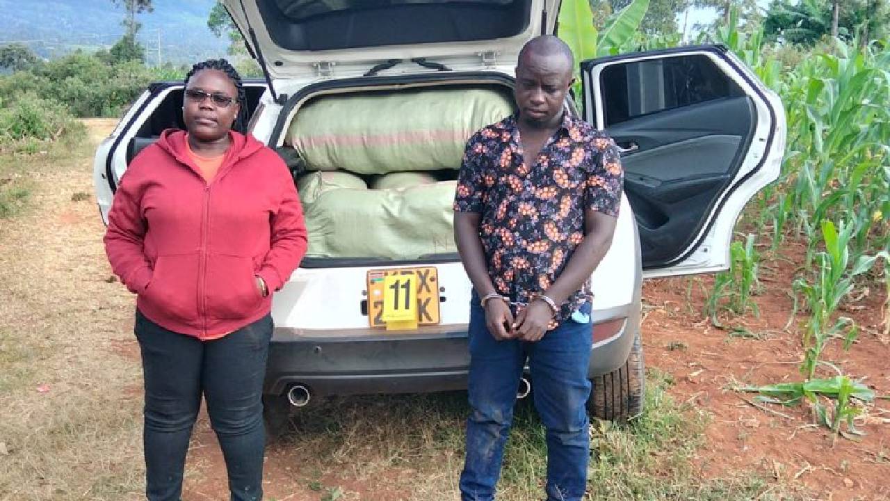 Two arrested as DCI seizes Sh4.6 million cannabis haul in Nakuru