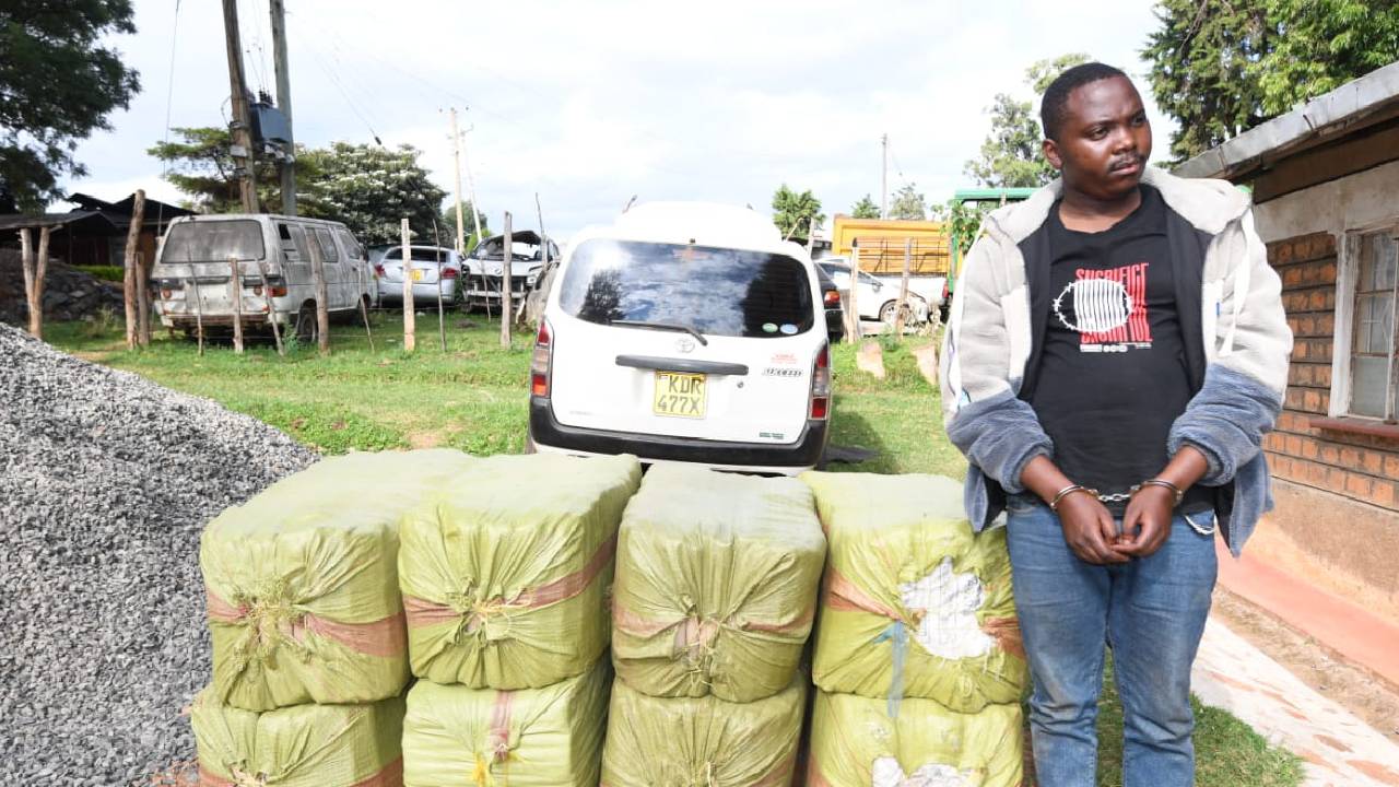 DCI arrests suspected drug trafficker, seizes 1,600 rolls of bhang in Bomet
