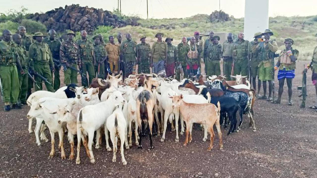Security team recovers 251 stolen livestock after confrontation with bandits in Marsabit