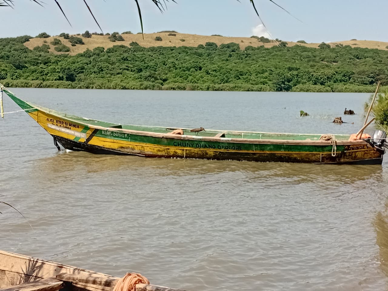 Kisumu fishermen dismiss claims of harassment by KWS officers