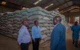 Government moves to buy 70,000 bags of mwea rice to boost farmers