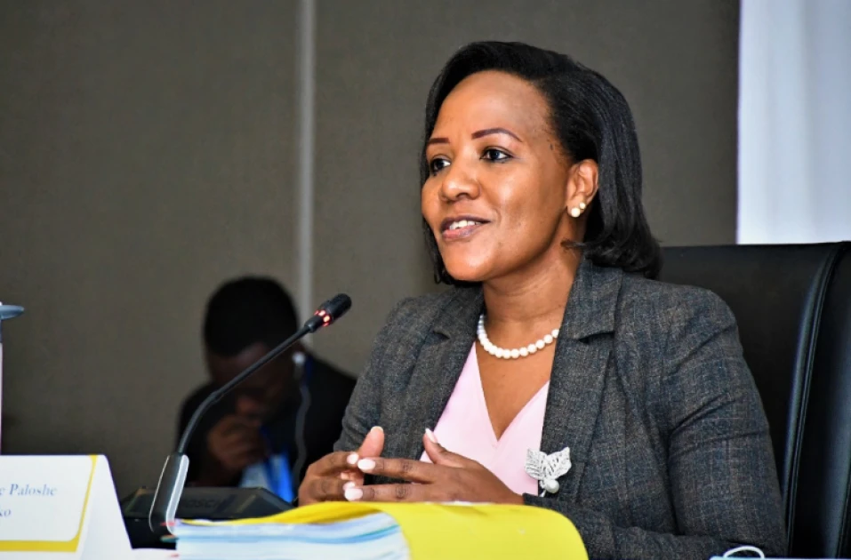 High Court suspends Ombudsman CEO appointment over transparency concerns