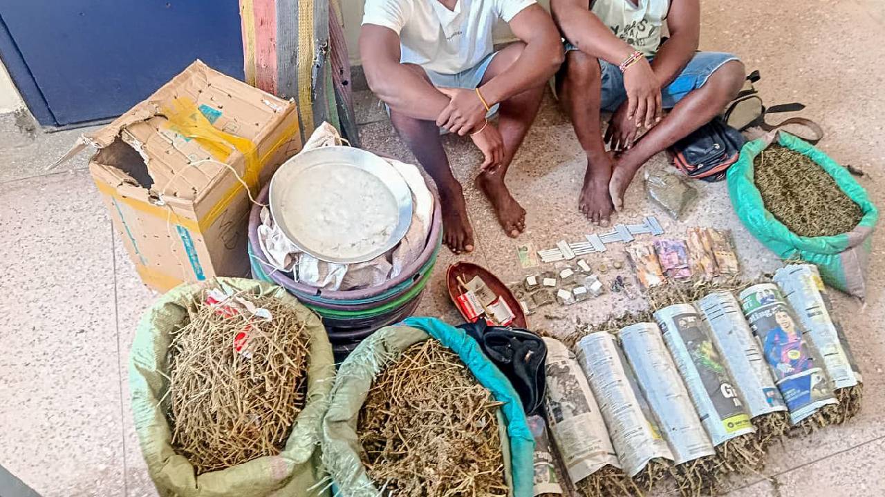 Two suspected drug traffickers arrested as police seize bhang in Kilifi raid