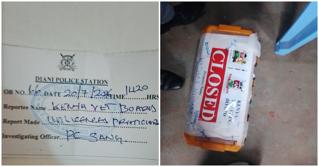 Illegal veterinary practitioners arrested while performing surgery and found in possession of prescription-only medicines