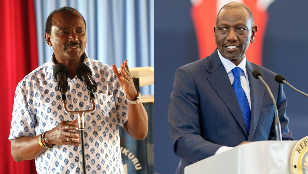 Wiper dismisses claims of a Kalonzo-Ruto meeting, calling viral videos a ‘deep fake’