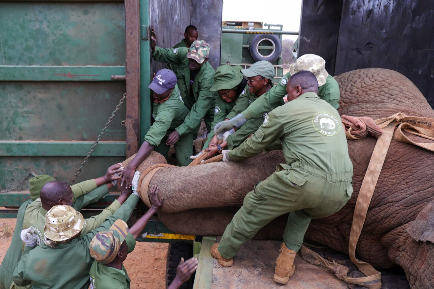 KWS probes deaths of 15 Elephants as tests detect possible toxic substance