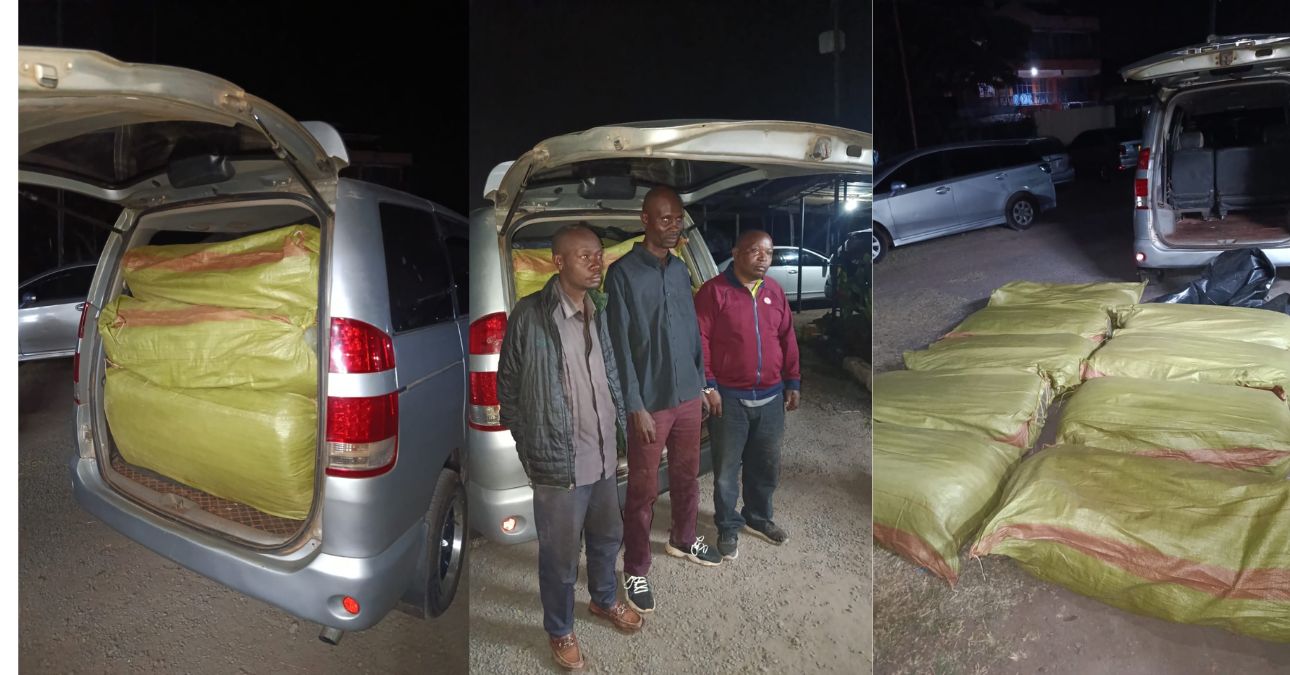Three arrested as detectives seize bhang worth KSh8 million in Athi River